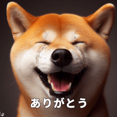 [LINEスタンプ] 架空映画・ミーム風犬猫スタンプ