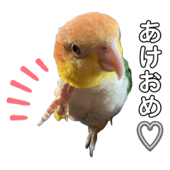 [LINEスタンプ] 新年ご挨拶アニマル隊員スタンプ