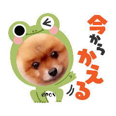 [LINEスタンプ] PON！ポンちゃんです