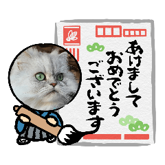 [LINEスタンプ] ニーナちゃんの日常