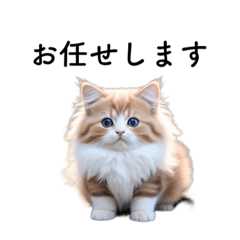 [LINEスタンプ] もふもふ♡ラガマフィン♡丁寧で使いやすい