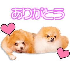 [LINEスタンプ] 上田家のこんぶ＆こてつちゃん