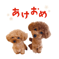 [LINEスタンプ] 我が家のマイケル、レディ お正月ver