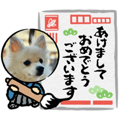 [LINEスタンプ] いぬ好きやねん（2）の画像（メイン）