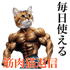 [LINEスタンプ] 【毎日使える】マッスルキャット〜筋肉猫〜