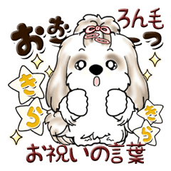 [LINEスタンプ] シーズー犬 (ロン毛)『お祝い・喜び』の画像（メイン）