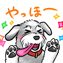 [LINEスタンプ] 陽気なベロ長シュナウザー