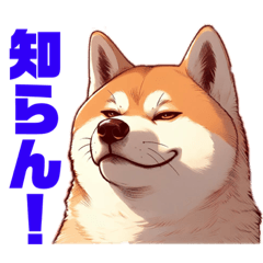 [LINEスタンプ] 楽しい秋田犬です。