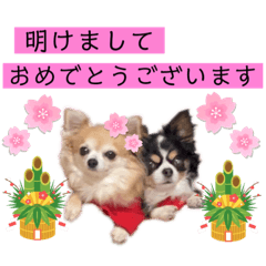 [LINEスタンプ] チワワといっしょ♡6