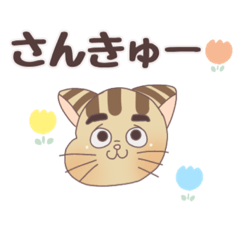 [LINEスタンプ] かじおの日常会話スタンプ2