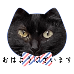 [LINEスタンプ] 家のチャチャ