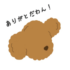 [LINEスタンプ] 〜トイプードルのあいさつスタンプ〜