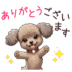 [LINEスタンプ] カワイイ犬だらけ！トイプードル