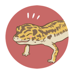 [LINEスタンプ] レオパのヒマちゃん