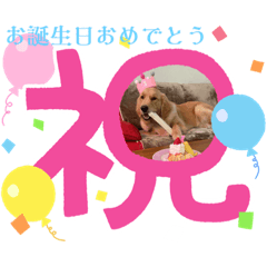 [LINEスタンプ] モイちゃん1歳