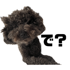 [LINEスタンプ] オラオラな犬のスタンプ