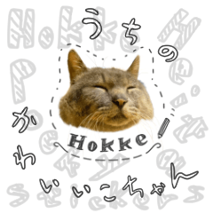 [LINEスタンプ] うちの かわいいこちゃん