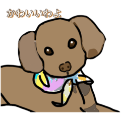 [LINEスタンプ] トイ・プードルのてんこちゃん