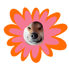 [LINEスタンプ] ヤンが言いたいこと