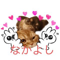 [LINEスタンプ] 麗生ときなこ