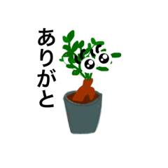 [LINEスタンプ] うちのガジュマル