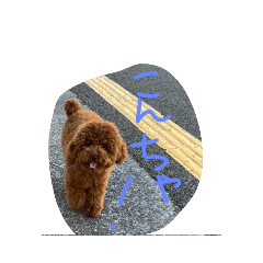 [LINEスタンプ] もじゃ季節のスタンプ