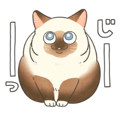 [LINEスタンプ] シールポイントのネコちゃん