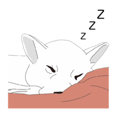 [LINEスタンプ] こうちゃんsticker