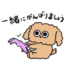 [LINEスタンプ] キミのわんこ【トイプードル】(敬語)