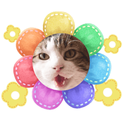 [LINEスタンプ] とらきちさん♡