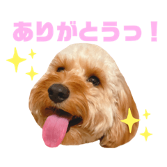 [LINEスタンプ] ワンだふる！犬のスタンプ