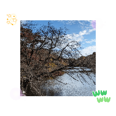 [LINEスタンプ] 人気の街の特徴近くに公園のある生活の日常