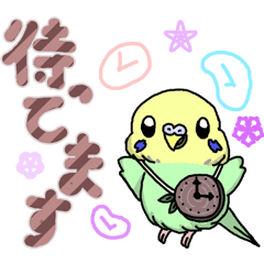 [LINEスタンプ] かわいいセキセイインコのあいさつスタンプ