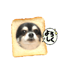 [LINEスタンプ] プロペラ5