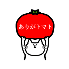 [LINEスタンプ] 色々抱える猫ちゃんスタンプ！敬語挨拶mix