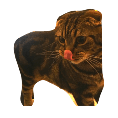[LINEスタンプ] えあぽっぽ②