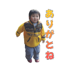 [LINEスタンプ] きぬかつぎのスタンプ