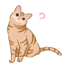 [LINEスタンプ] -猫との暮らし-