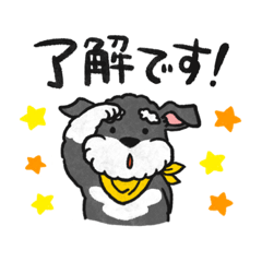 [LINEスタンプ] シュナスタンプ-日常-