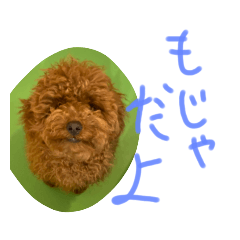 [LINEスタンプ] かわいいもじゃスタンプ❤