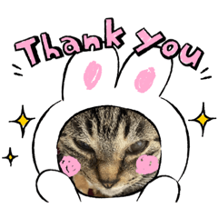 [LINEスタンプ] こうめ♀スタンプ
