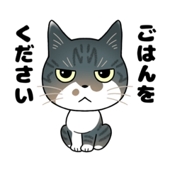 [LINEスタンプ] 老猫サバ白雑種のなめこちゃん