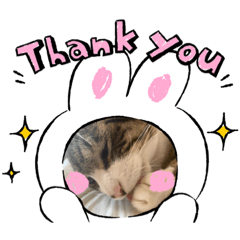 [LINEスタンプ] ムツゴロウ♂スタンプ2