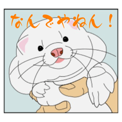 [LINEスタンプ] 和風文字でリアル目なフェレット