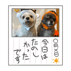 [LINEスタンプ] ひめとらぶ