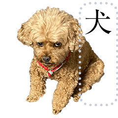 [LINEスタンプ] 使いやすい犬たち