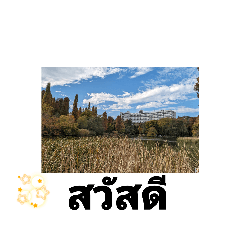 [LINEスタンプ] タイ語人気の観光地 池の穏やかな池の物語
