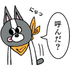 [LINEスタンプ] Pochi's daily life