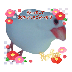 [LINEスタンプ] 白文鳥からの年始挨拶