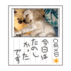 [LINEスタンプ] りっくん。男の子。子犬。